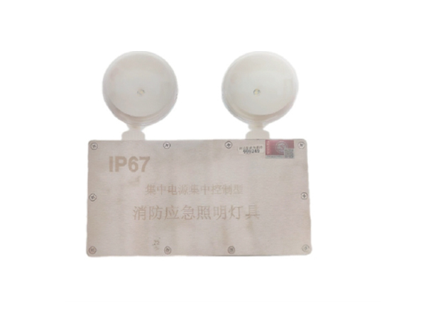 集控防水双头灯